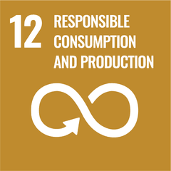 Obiettivo 12: Consumo e produzione responsabili